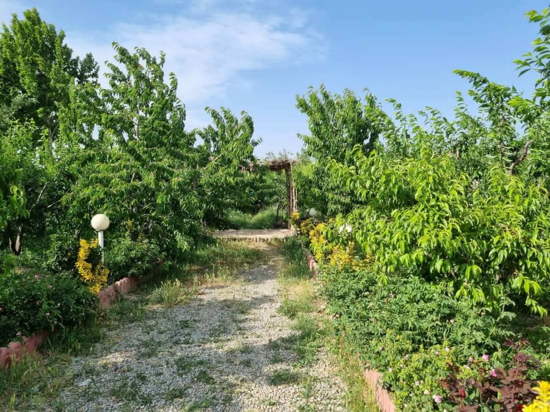 باغچه با سوئیت به متراژ ۱۰۰۰ متر با انواع درختان مثمر و سر زنده ۱ ساعت آب هفتگی.چهار دیواری. برق مصرفی