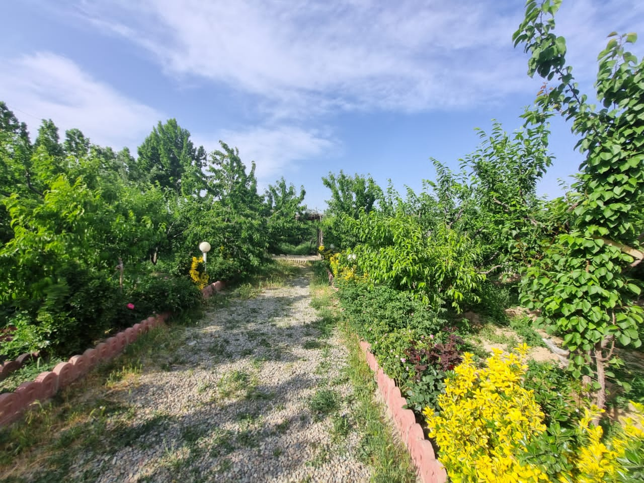 سهیلیه شهرک فرهنگیان باغچه ۱۰۰۰ متری درختان میوه مثمر ۱۵ ساله آبیاری قطره‌ای / برق /استخر /در منطقه ییلاقی