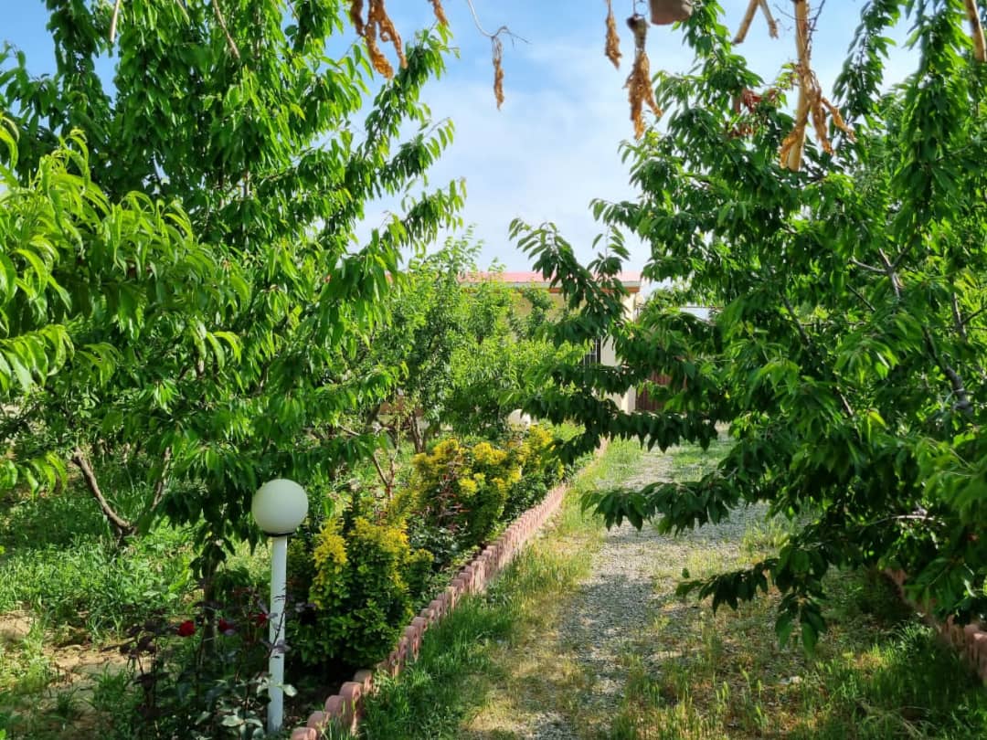 سهیلیه شهرک فرهنگیان باغچه ۱۰۰۰ متری درختان میوه مثمر ۱۵ ساله آبیاری قطره‌ای / برق /استخر /در منطقه ییلاقی